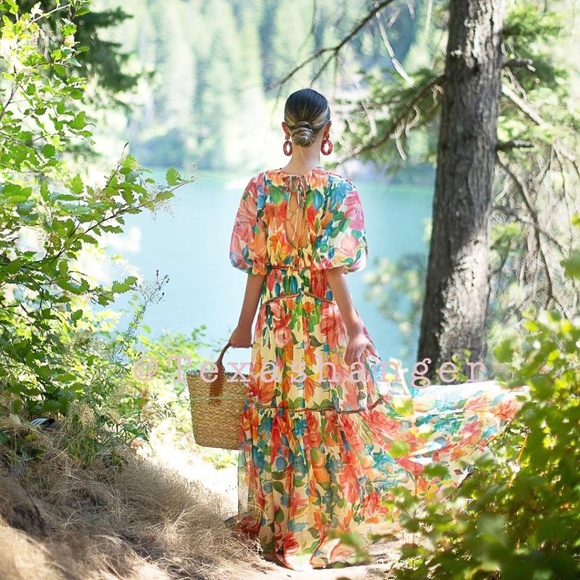 NWT One33 Social The Francesca Floral Maxi Gown Size 4 - Picture 9 of 16